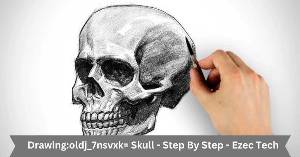 Drawing:oldj_7nsvxk= Skull – Step By Step – Ezec Tech drawingoldj_7nsvxk= skull - step by step - ezec tech