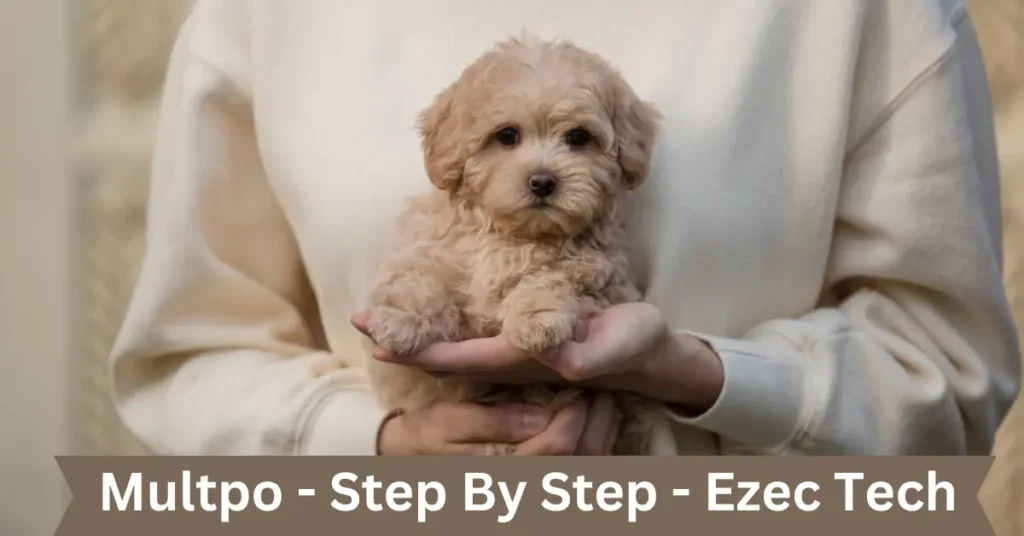 multpo - step by step - ezec tech