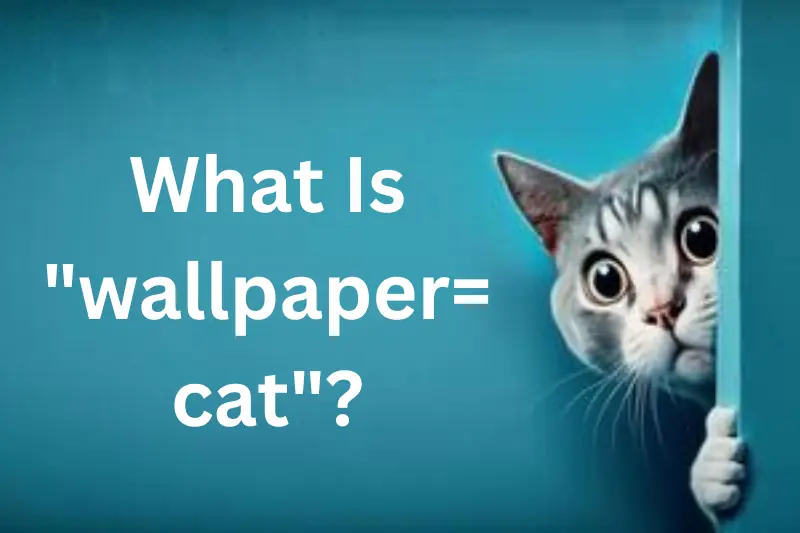 what Is wallpaper= cat